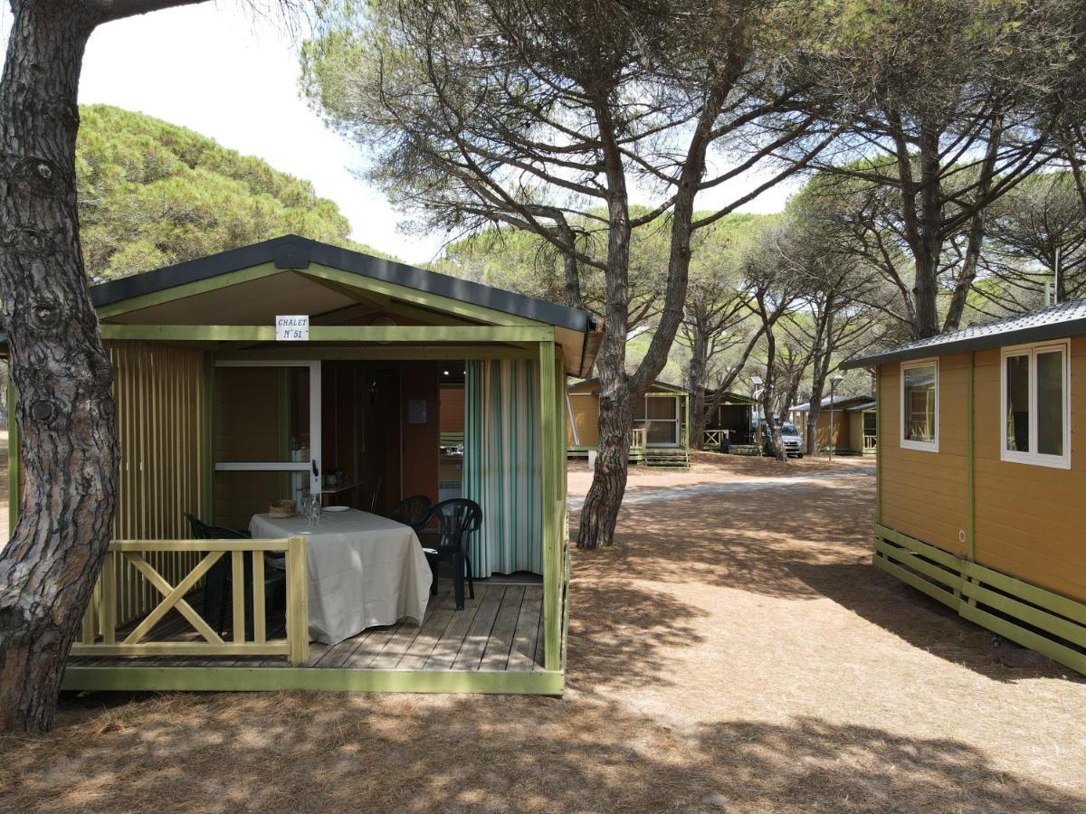 Camping La Tamarissiere Agde Eksteriør bilde