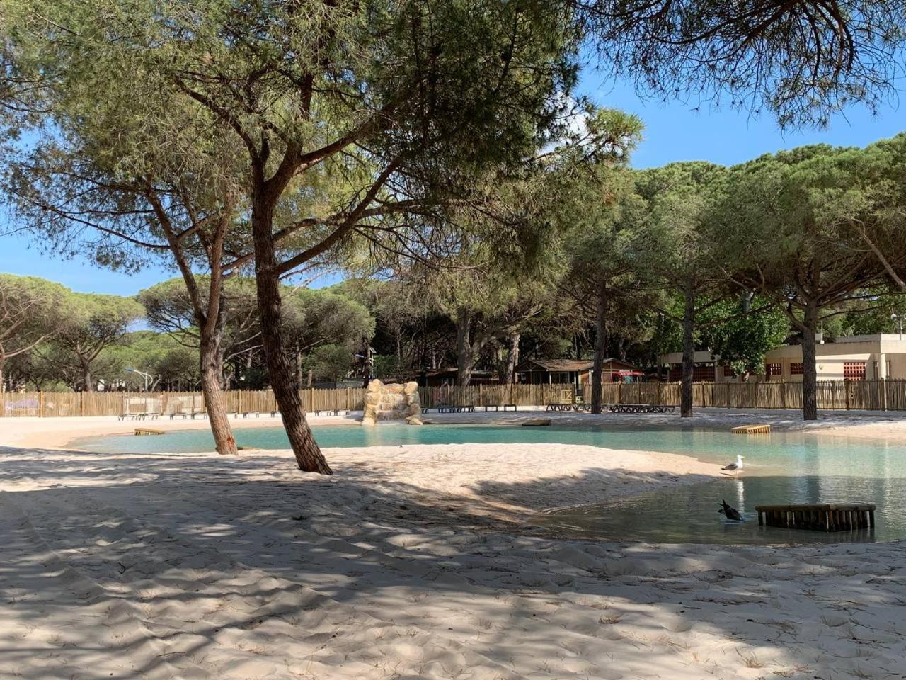 Camping La Tamarissiere Agde Eksteriør bilde